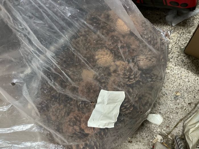Bag of acorns from Austria.