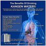 Kangen Water Machine (NEW) Image 8