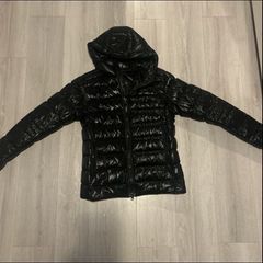 Canada goose Crofton