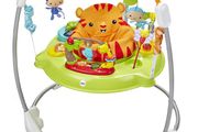 Fisher Price Jumperoo