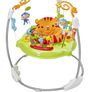 Fisher Price Jumperoo Image 2