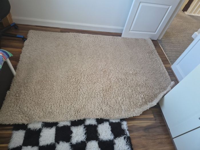 Big rug cream 220x160cm