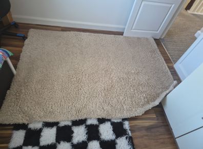 Big rug cream 220x160cm