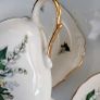 Paragon STAR Fine Bone China - Gypsophila -  Made in England Image 3