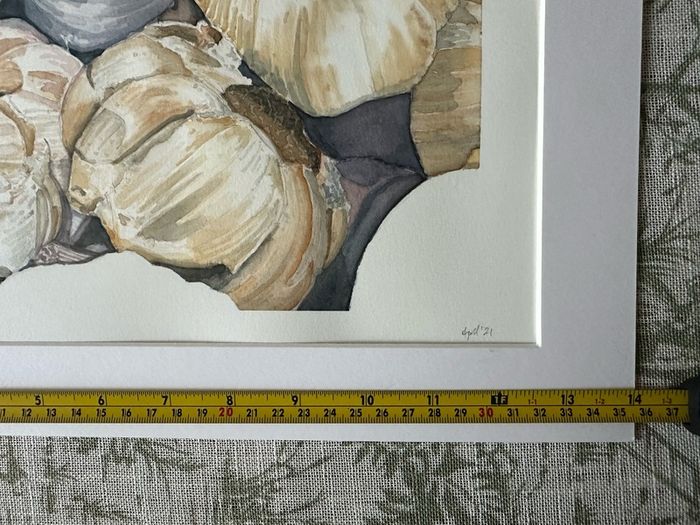 Watercolour - Garlic for Sale