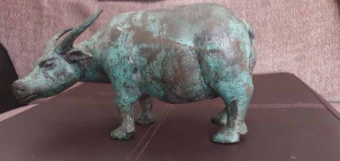 Cooper  cow (bull)