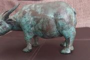 Cooper  cow (bull)