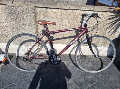 bike needs fixing