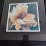 Lovely framed print still life of blooming flower. Image 5