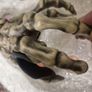 Guitar Hand Grip Image 3