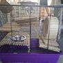Famster, Guinea pig, Rat cage plus accesories Image 5