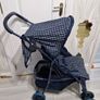 buggy Image 2