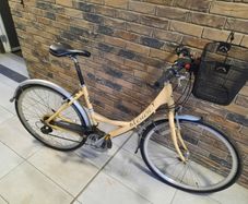 ladies bike( can deliver)