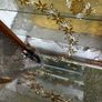 Glass cabin Image 4
