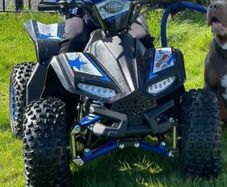 Renegade 1200w electric Quad