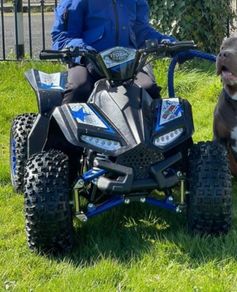 Renegade 1200w electric Quad