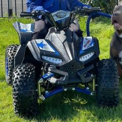 Renegade 1200w electric Quad