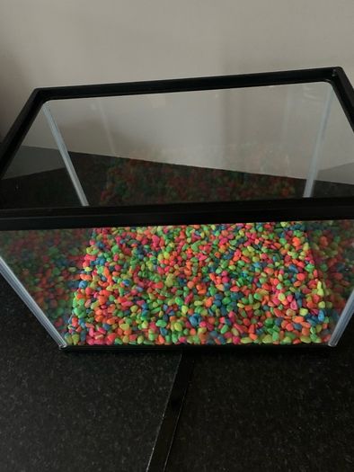 Fish Tank
