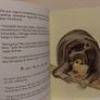 The Little Gibbon Who Lost His Song, story book Image 5