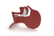 Laerdal Head Section Model