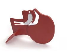 Laerdal Head Section Model
