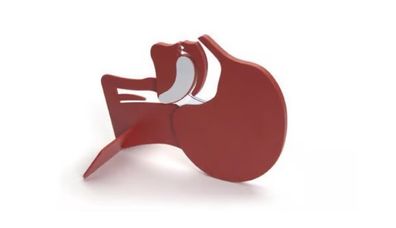Laerdal Head Section Model