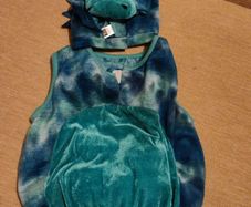 Dinosaur Costume