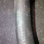 Original BMW 11537785018 Radiator Hose Water Hose Diesel E39 530d M57 D30 Image 2