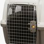 Small Dog Crate Image 2