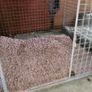 dog cage Image 4