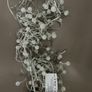100 White Berry Crackle Lights Image 3