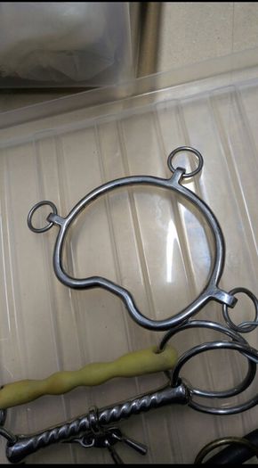 equestrian bits