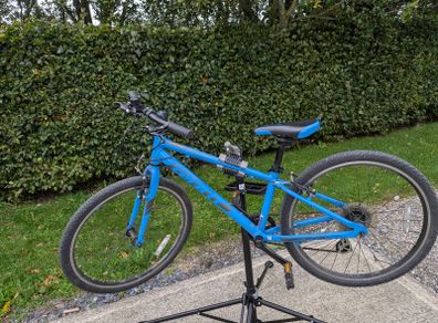 Giant ARX kids bike - blue