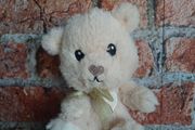New small teddy