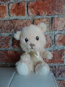 New small teddy