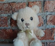 New small teddy
