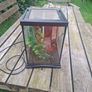 Terrarium with heater Image 2