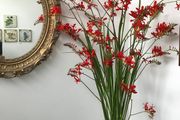 Glass Vase
