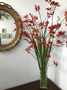 Glass Vase