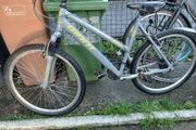 ladies bike
