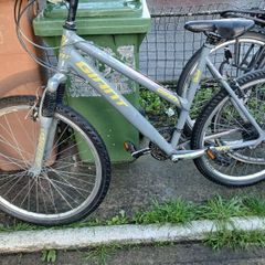 ladies bike