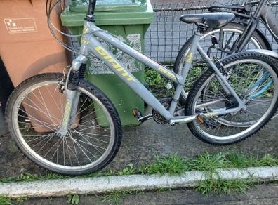 ladies bike