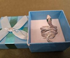 Sliver necklase - chain and silver ring snake