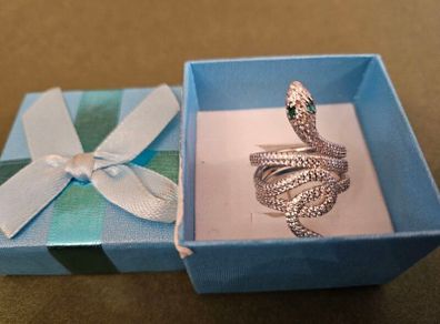 Sliver necklase - chain and silver ring snake