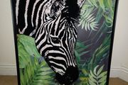 Pictures zebra , giraffe