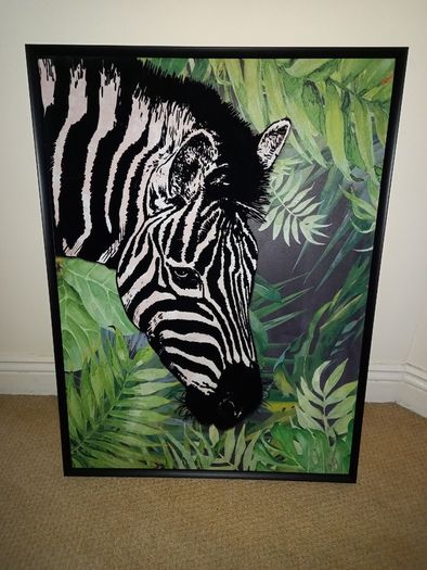 Pictures zebra , giraffe