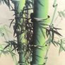 XL bamboo watercolour Image 6