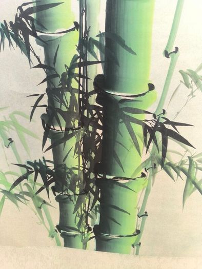 XL bamboo watercolour