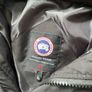 Canada Goose Image 5