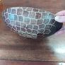 African Bowl or Tray Image 8